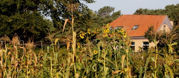 foto www.christoforusgemeenschap.be