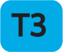 T3